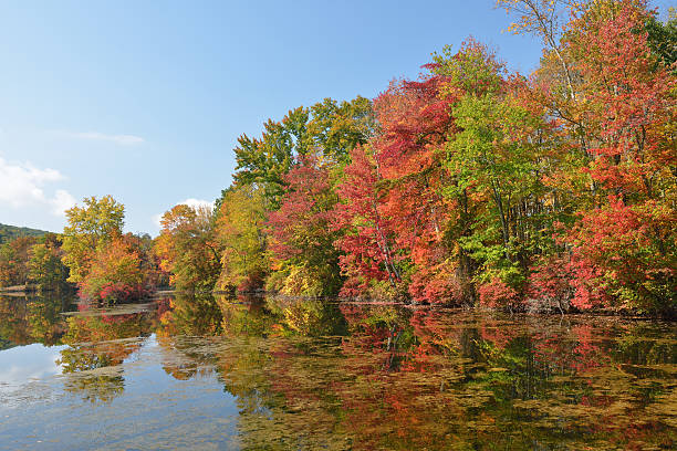 istock Autumn Colors at Hidden Lake 451960857