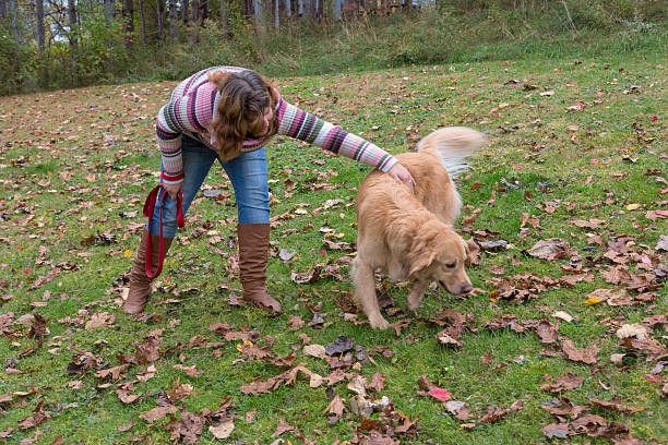 istock Young red haired woman playing with golden retriever 451961425