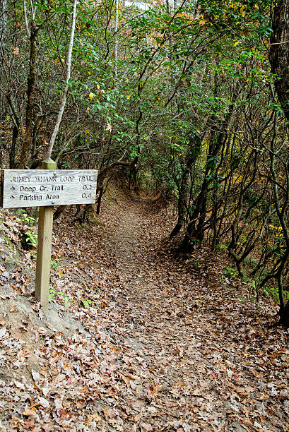 istock Great Smoky Mountains National Park 451962911