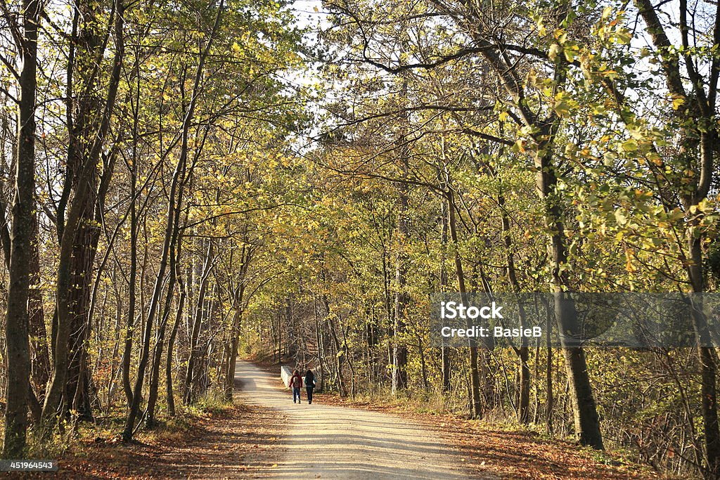 Herbstliche Wald - Lizenzfrei Baum Stock-Foto