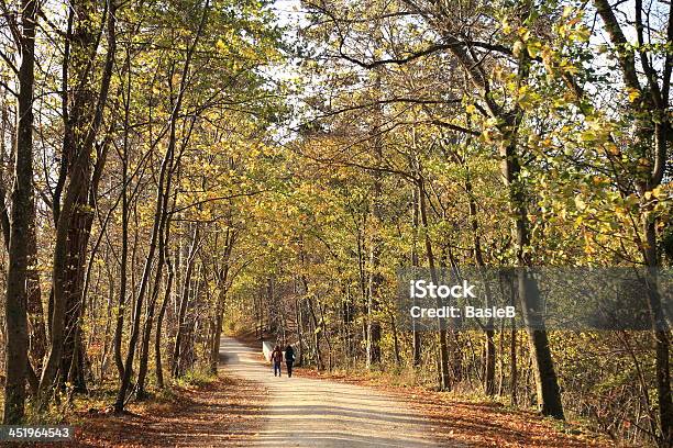 Herbstliche Wald Stockfoto und mehr Bilder von Baum - Baum, Blatt - Pflanzenbestandteile, Braun