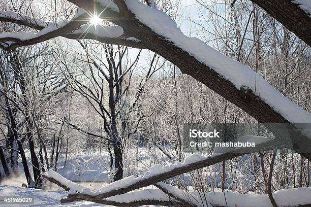 Invierno Sol Foto de stock y más banco de imágenes de Aire libre - Aire libre, Belleza, Belleza de la naturaleza