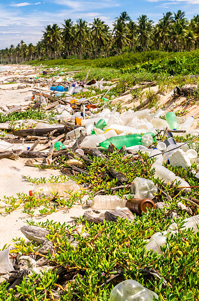 istock Ocean Dumping - Total pollution on a Tropical beach 451965175