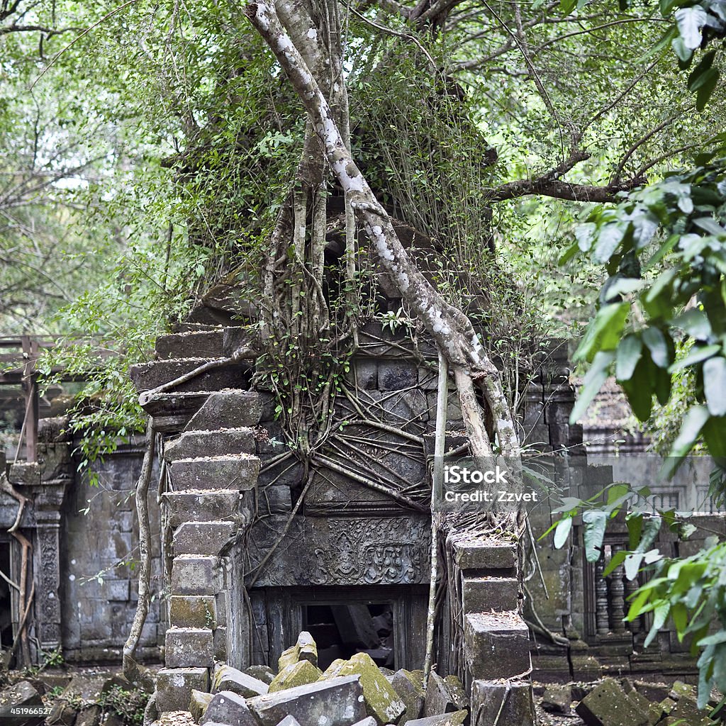 Beng Mealea Temple over jungle, Cambodia Ruins of ancient Beng Mealea Temple over jungle, Cambodia. Beng Mealea is a temple in the Angkor Wat style located 40 km east of the main group of temples at Angkor, its name means "lotus pond Ancient Stock Photo