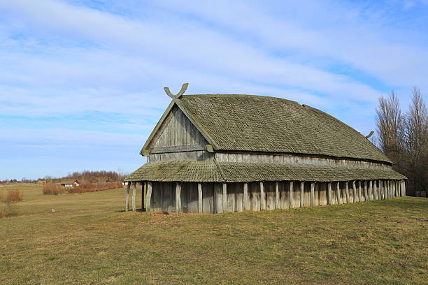 викинг длинный дом на trelleborg круговой форт, дания - trelleborg стоковые фото и изображения