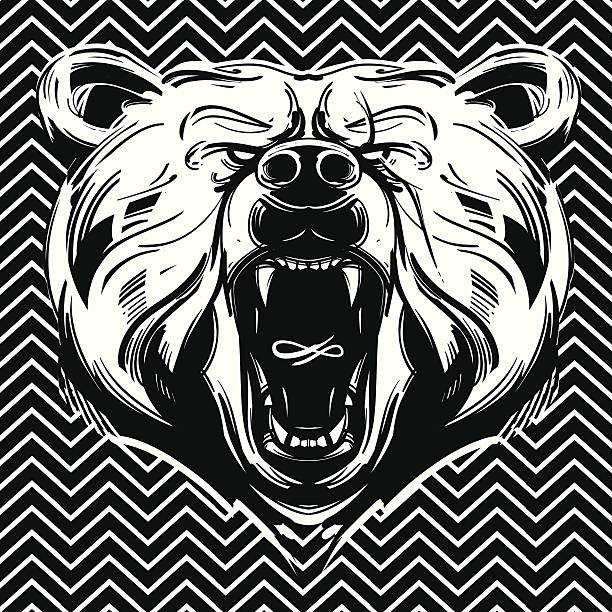 Bear face vector art illustration