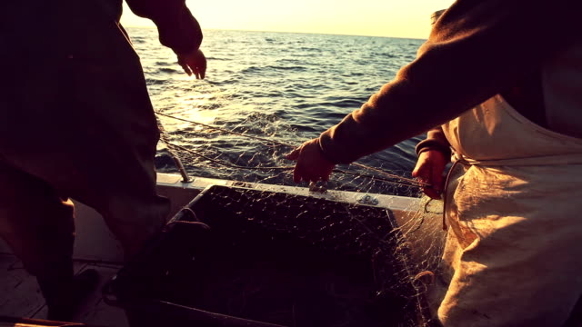 Fishermen at work, pulling the nets