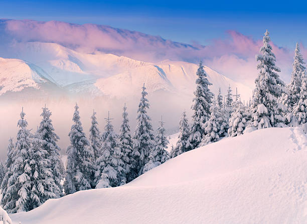 istock iColorful winter sunrise in the mountains. 451975415