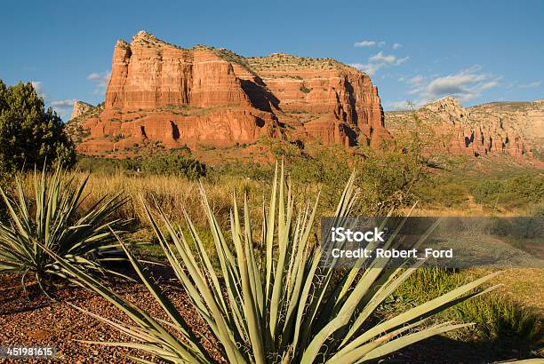 Courthouse Rock And Yucca Plants Sedona Arizona Stock Photo - Download Image Now - Agave Plant, Arizona, Bush