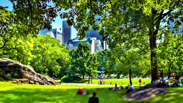 Consciência ecológica