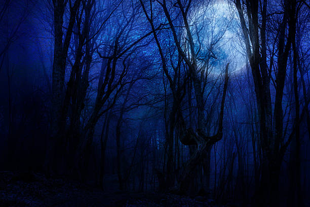 istock dark night forest agaist full moon 451982095