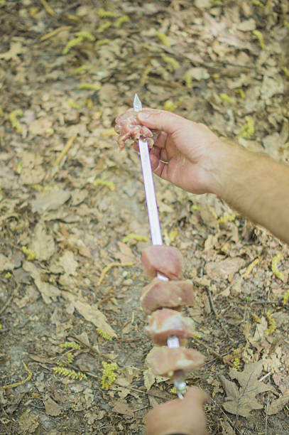 istock Pieces of raw meat on a skewer 451984101