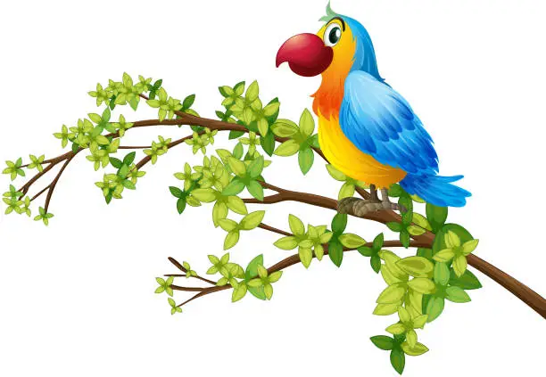 Vector illustration of colorful parrot