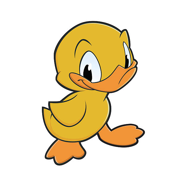 Little Duck vector art illustration