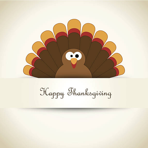 święto dziękczynienia turcji — ilustracja - turkey white background bird thanksgiving stock illustrations