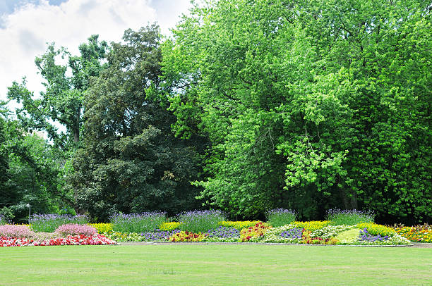 istock flowerbeds in the park 451990615