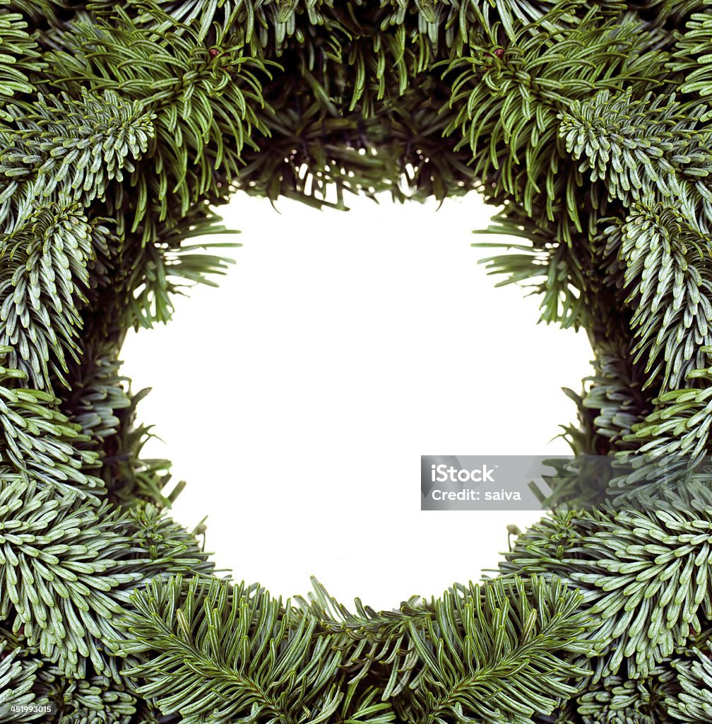 Bastidor de ramas del árbol de navidad - Foto de stock de Abeto libre de derechos