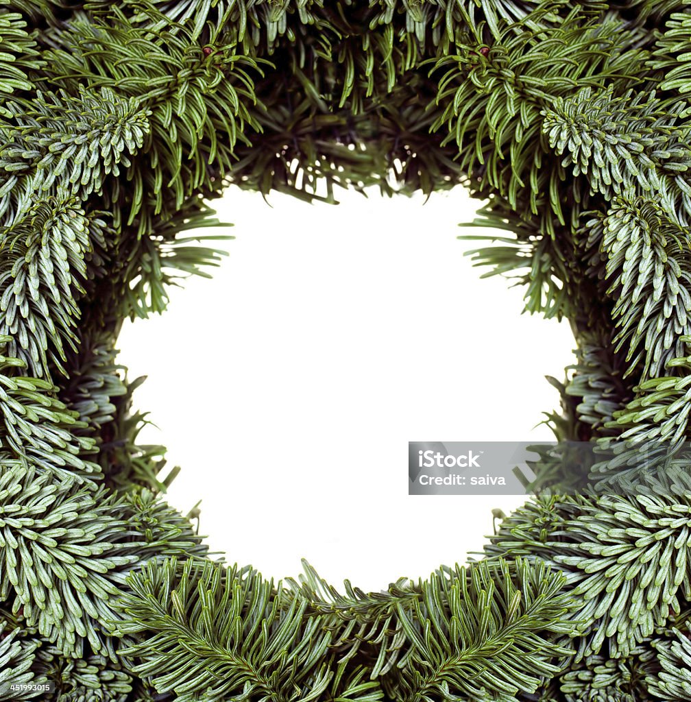 Frame ramos da árvore de Natal - Royalty-free Abeto Foto de stock