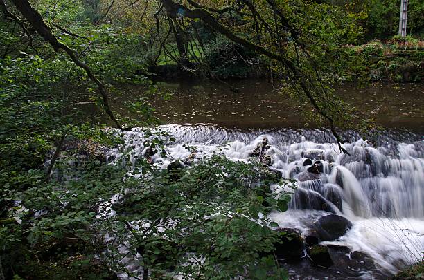 istock Turbulent stream among the trees 452001403