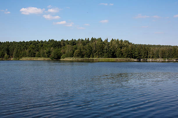 urban pond stock photo