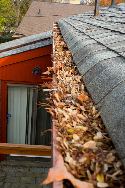 istock Rain gutter on roof filled with leaves 452016487