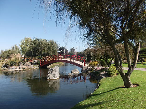 istock wonderful asian garden in chile 452018951