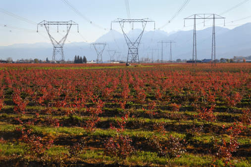 Electrical Transmission Towers and Lines