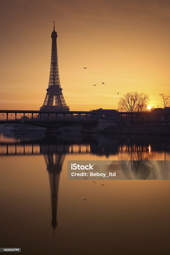 Eiffel tower in Paris, France Sunrise over the Eiffel tower in Paris, France. Bird Stock Photo