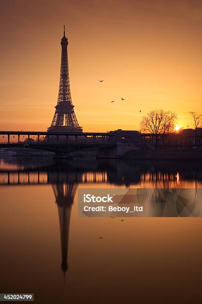 Eiffel Tower In Paris France Stock Photo - Download Image Now - Bird, Bridge - Built Structure, Capital Cities