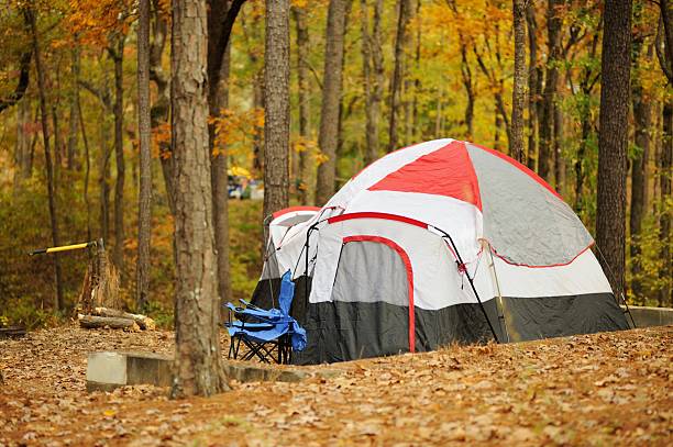 istock Large camping tent in wooded campsite 452025903