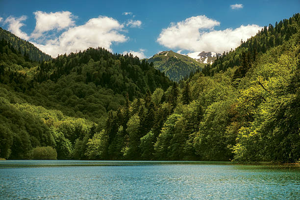 Spring on Biogradsko Lake. 
