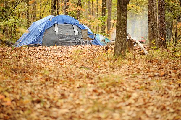 istock Camping tent in wooded autumn campsite 452027389