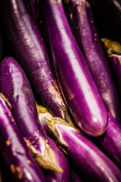 aubergines japonês - eggplant farmers market purple agricultural fair - fotografias e filmes do acervo