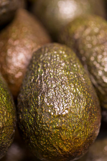 Avocadoes