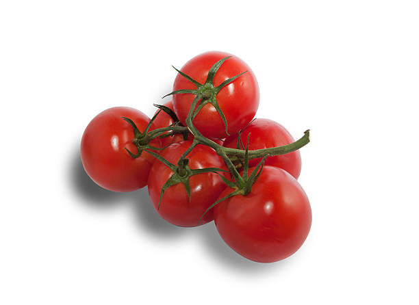 istock Red ripe tomatoes on branch 452028597