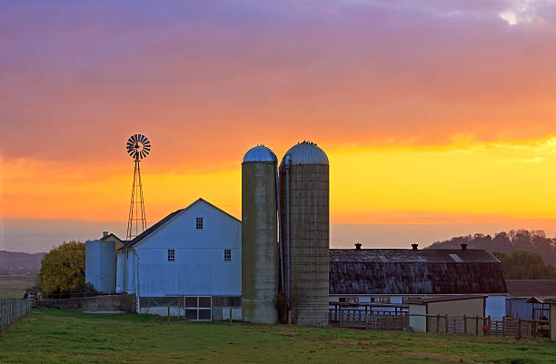 Amish Farm at Sunrise