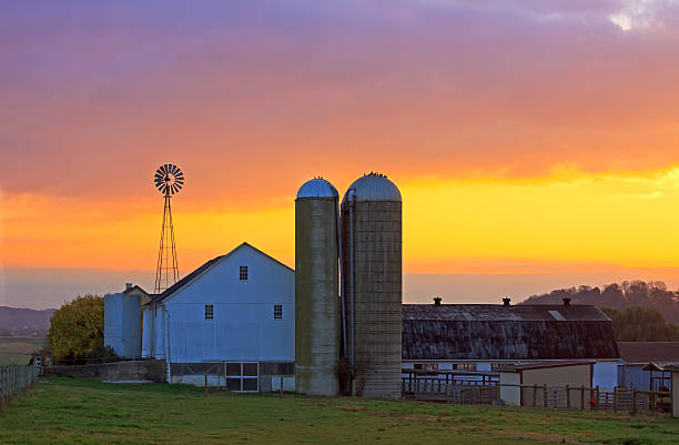 Amish Farm at Sunrise An Amish farm in Lancaster County,Pennsylvania at sunrise. amish photos stock pictures, royalty-free photos & images