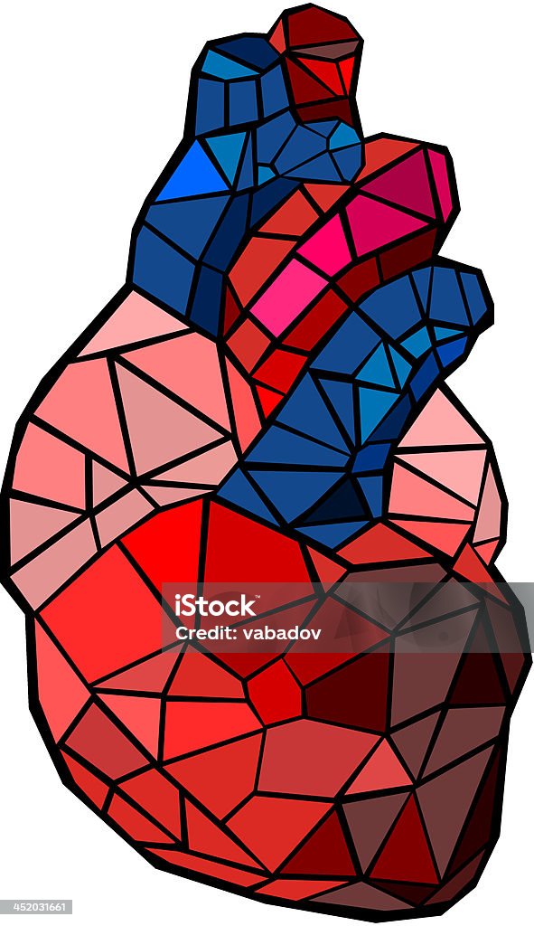 Coeur humain - clipart vectoriel de Corps humain libre de droits