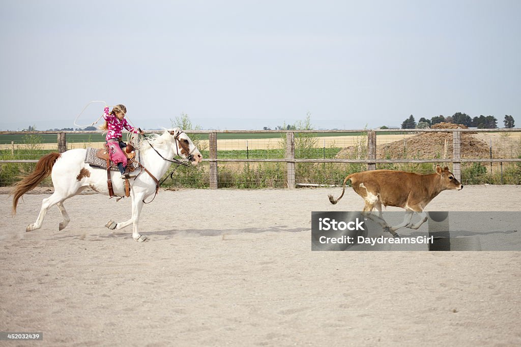 Menina andando a cavalo praticando Rodeo Roping um novilho - Foto de stock de Cavalo - Família do cavalo royalty-free