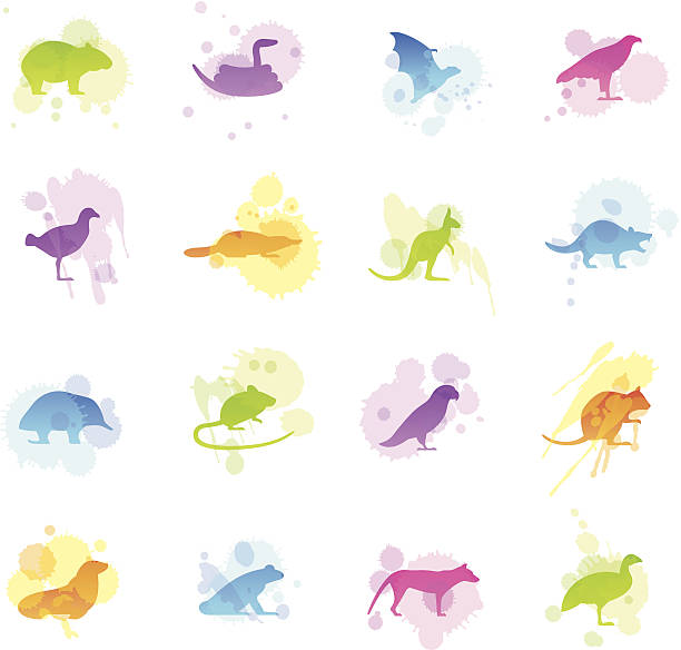 Stains Icons - Tasmanian Animals Illustration of different Tasmanian animals. tasmanian animals stock illustrations