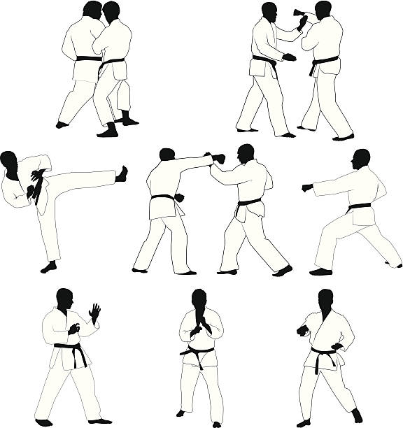 ilustrações de stock, clip art, desenhos animados e ícones de artes marciais - karate kickboxing martial arts silhouette