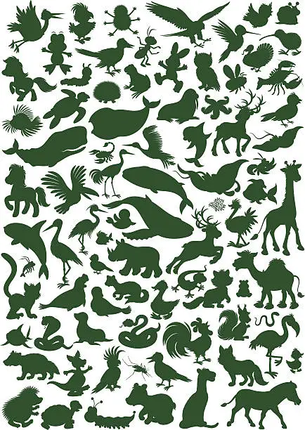 Vector illustration of Animals