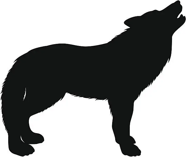 Vector illustration of Wolf