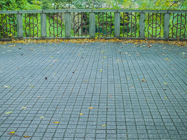 istock lose leaf on majestic bridge in autumn 452047107