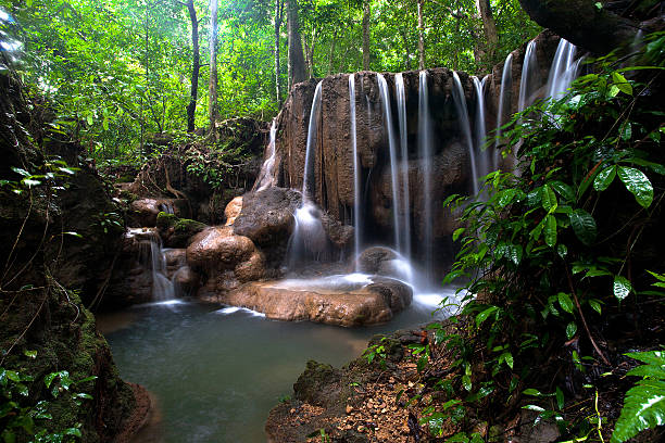 waterfall beautiful - cher 個照片及圖片檔