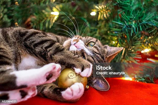 Weihnachten Katze Stockfoto und mehr Bilder von Hauskatze - Hauskatze, Weihnachten, Weihnachtsbaum