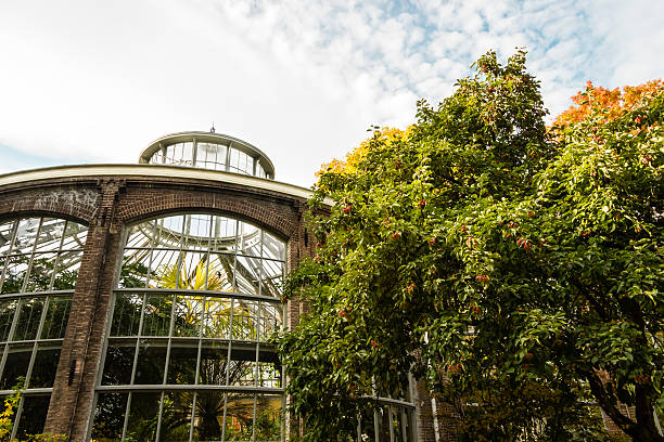 istock Plantage greenhouse in Amsterdam, autumn time 452068965
