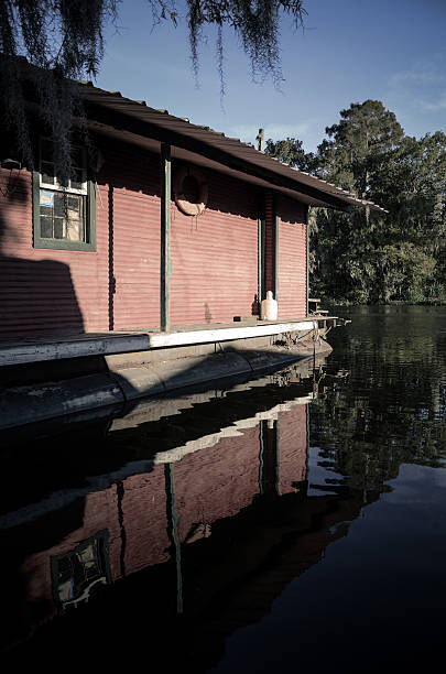 istock cottage in the swamp 452069897