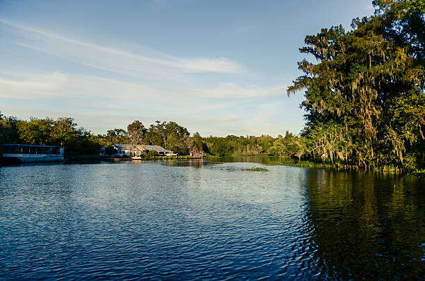 beautiful swamp tour landscape