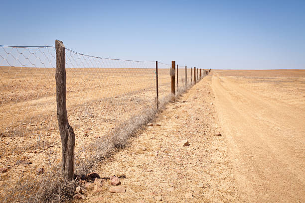 The wire mesh dingo proof fence (dog proof fence) in the desert of Outback South Australia. Photo taken south of Coober Pedy